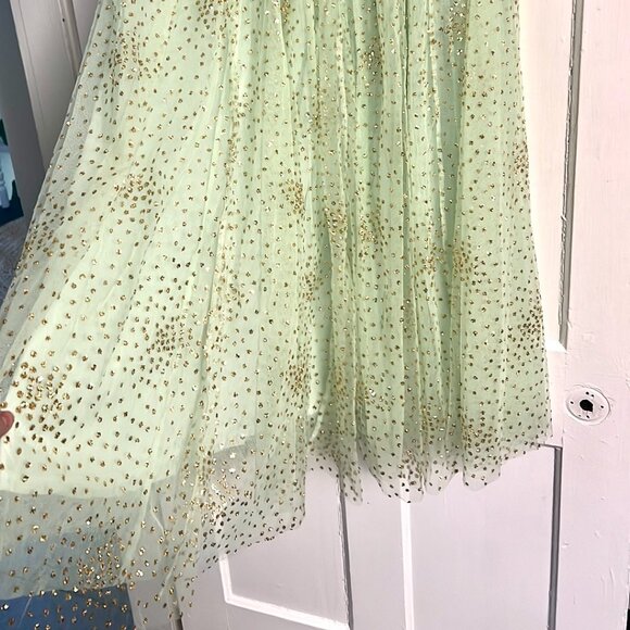 ANTHROPOLOGIE Sydney Shimmer Tulle Midi Skirt Mist green Gold glitter skirt - Picture 7 of 10